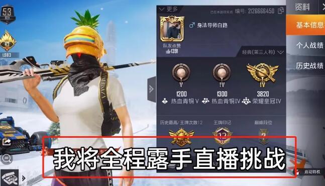 和平精英「毛豆直装」辅助外挂